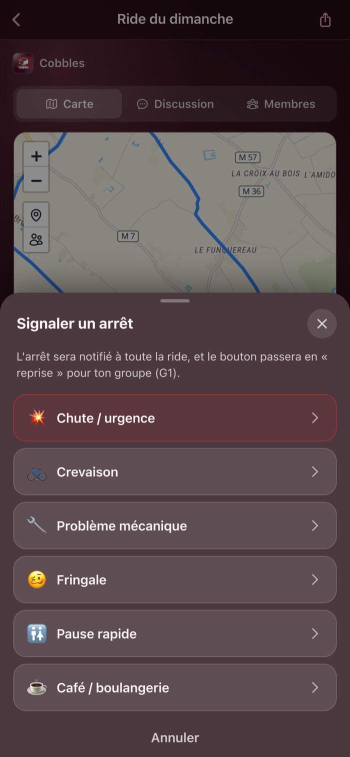 Le choix de la raison d'un arrêt : chute, crevaison, problème mécanique, fringale, pause, café